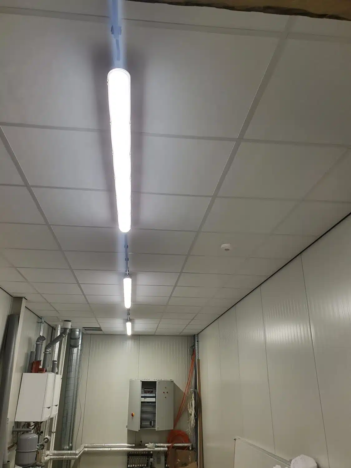 Jeurgens Banket-, Biscuit- en Chocoladefabriek — projectarchief